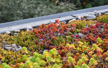 the cost of Upper Dunsforth green roof installation