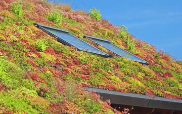 Upper Dunsforth living roof systems