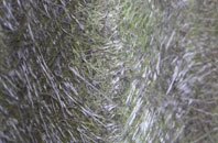 Upper Dunsforth fibreglass roof work